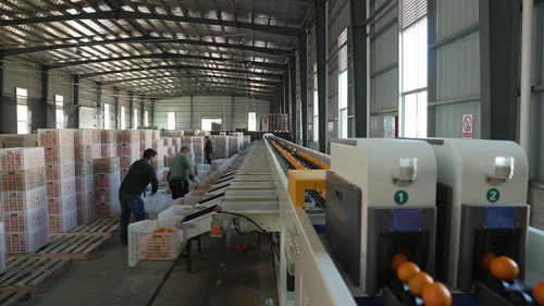 菜鳥物流科技下鄉，助力尋烏農產品進城與快遞進村，自動化與生物化工技術研發再上新階