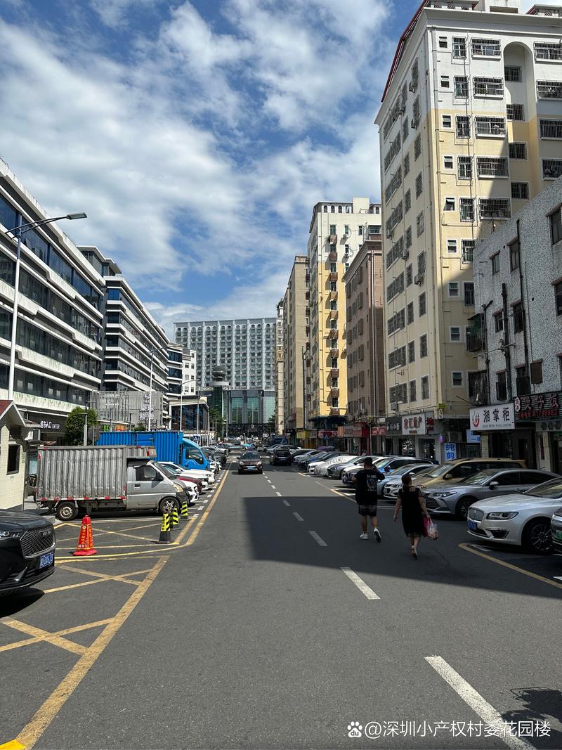 深圳城中村房東的“服務(wù)盲區(qū)”，真的比商品房房東還牛嗎？