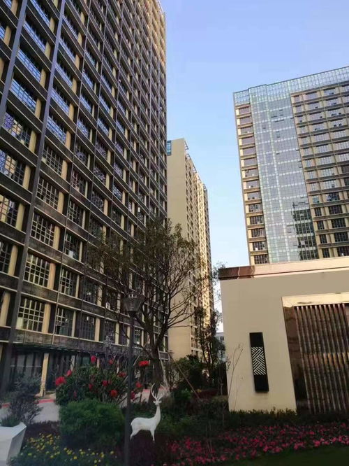深圳商品房市場觀察 供需演進與未來走向